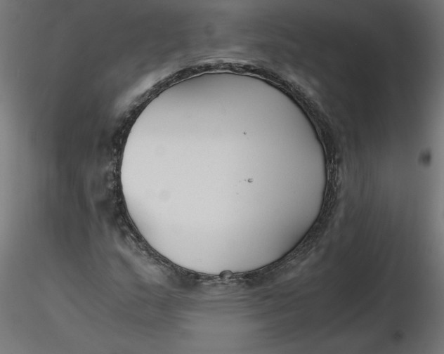 X0000116641159200912291549