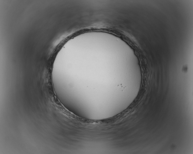 X0000116641160200912291549