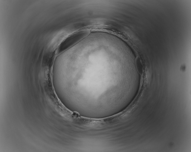 X0000116641161200912291549