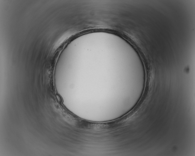 X0000116641163200912291549