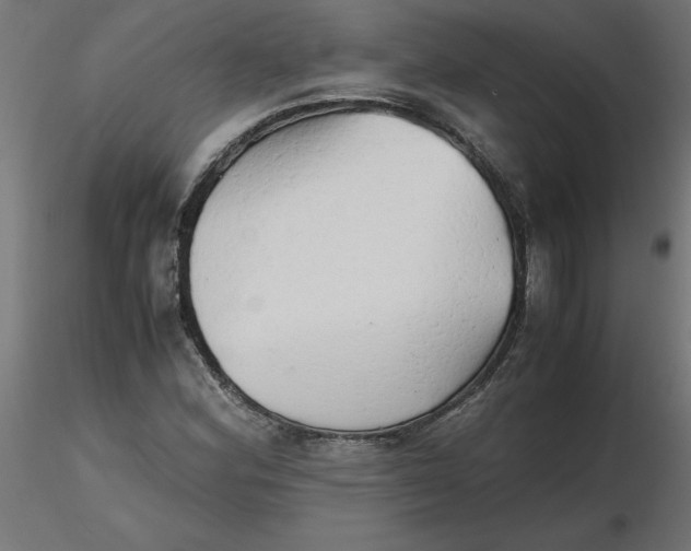 X0000116641164200912291549