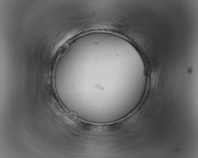 X0000116641165200912291549