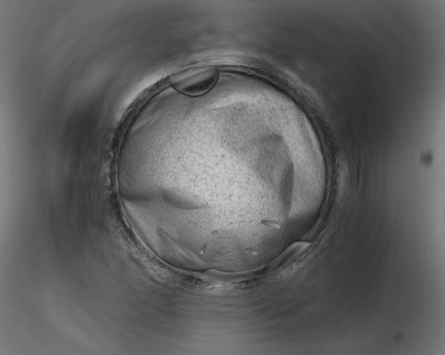 X0000116641166200912291549