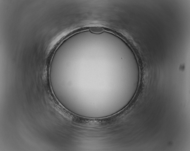 X0000116641167200912291549