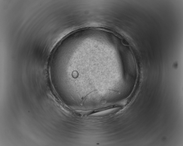 X0000116641170200912291549