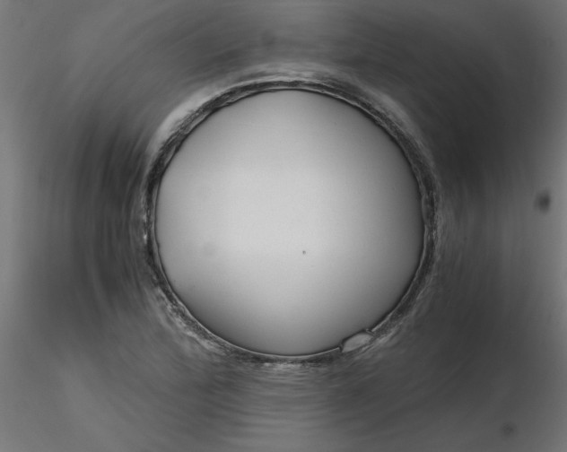 X0000116641172200912291549