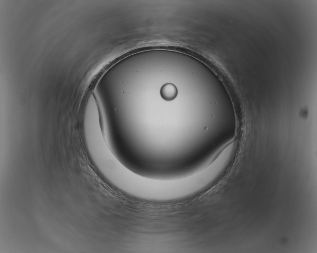 X0000116641173200912291549