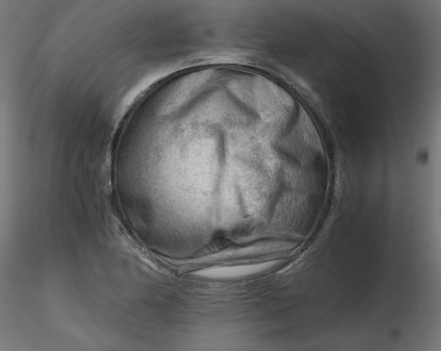 X0000116641174200912291549