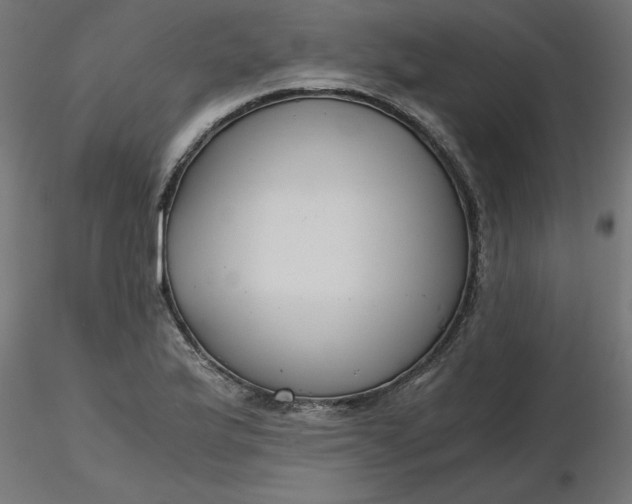 X0000116641175200912291549