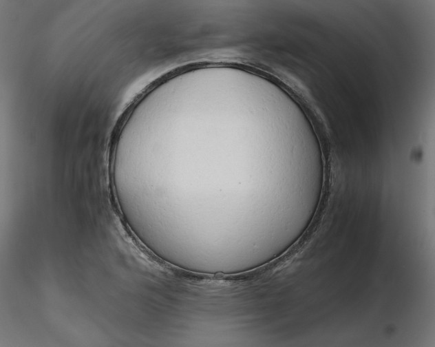 X0000116641176200912291549