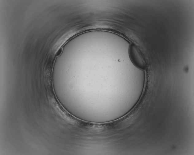 X0000116641177200912291549