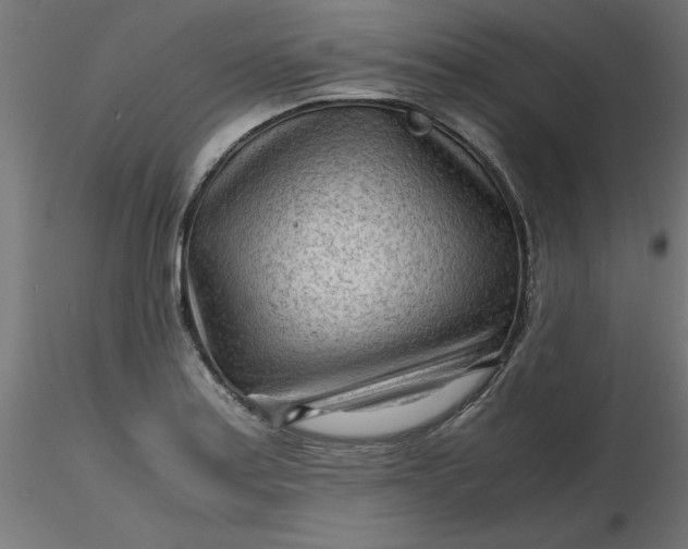 X0000116641179200912291549