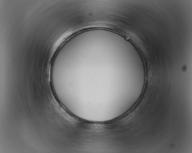 X0000116641180200912291549