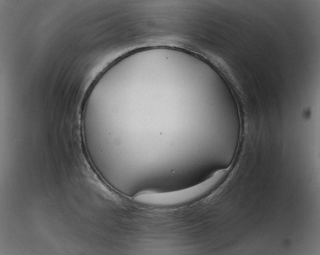 X0000116641184200912291549