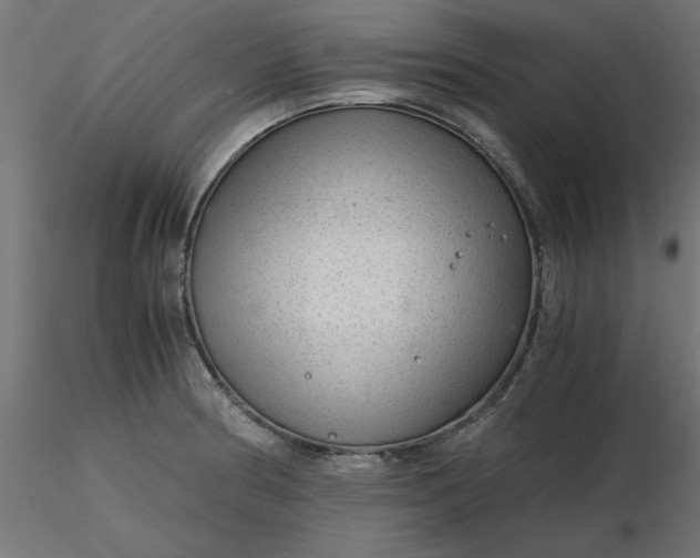 X0000116641186200912291549