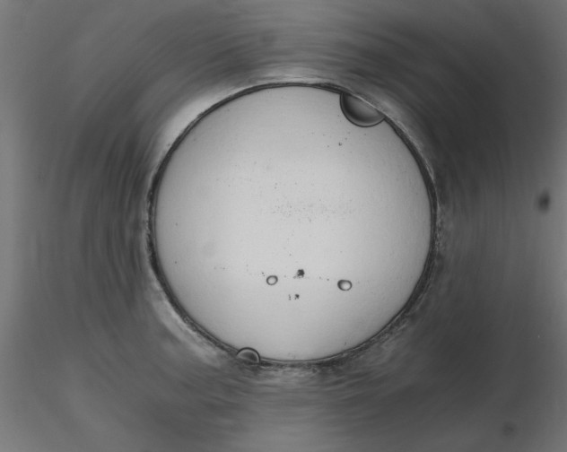 X0000116641187200912291549