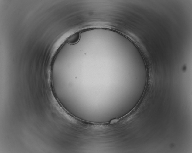 X0000116641188200912291549