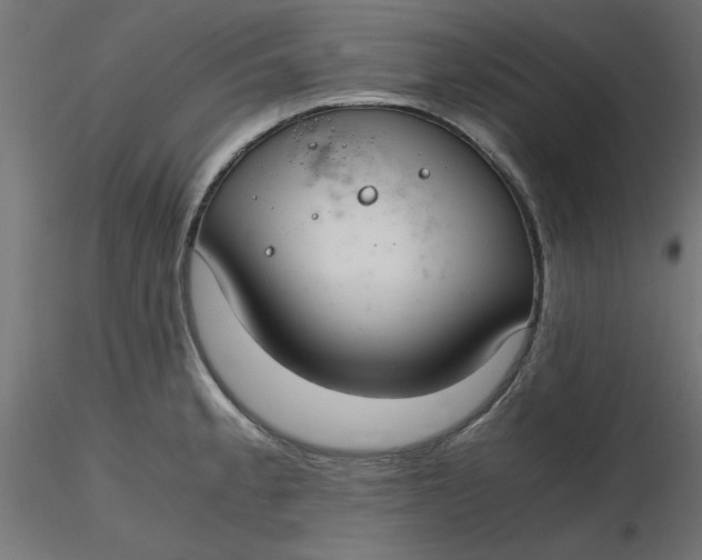 X0000116641189200912291549