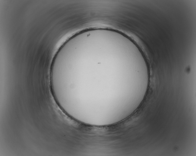 X0000116641191200912291549