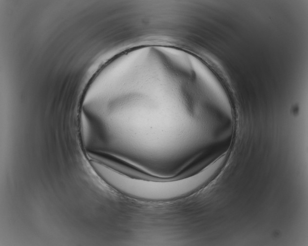 X0000116641192200912291549