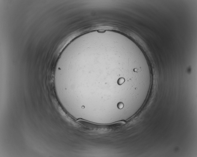 X0000116641193200912291549