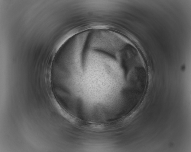 X0000116641194200912291549