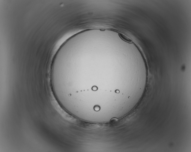 X0000116641195200912291549