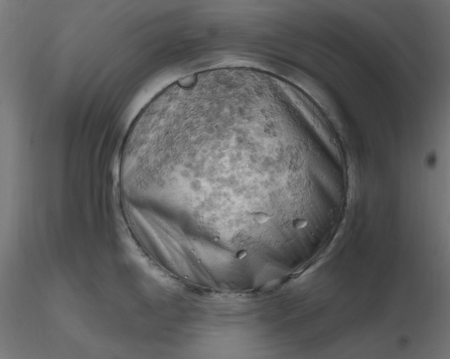 X0000116641198200912291549