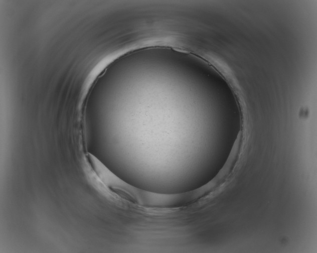 X0000116641200200912291549