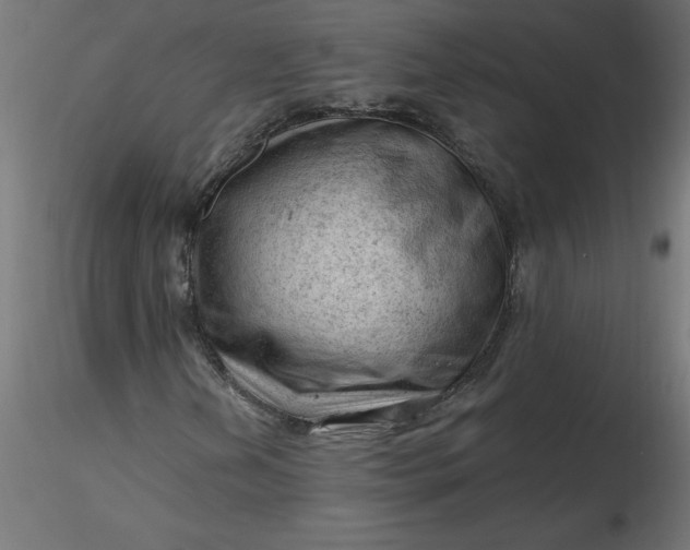 X0000116641202200912291548