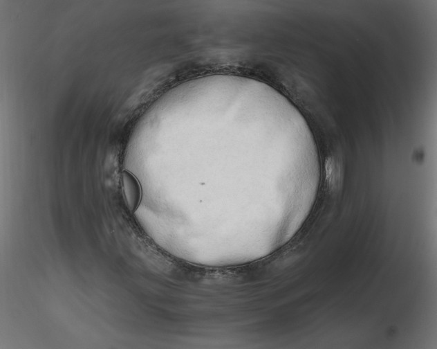 X0000116641203200912291548