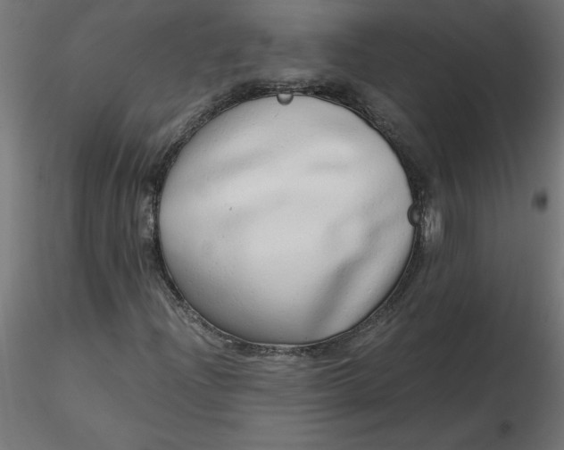 X0000116641204200912291548