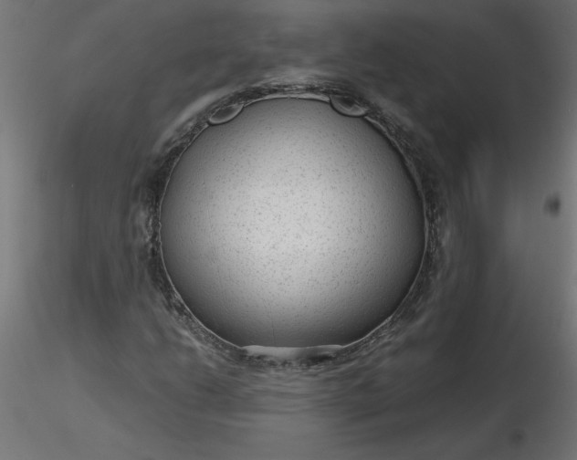 X0000116641206200912291548