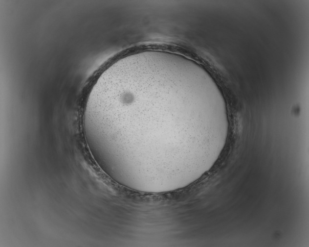 X0000116641208200912291548