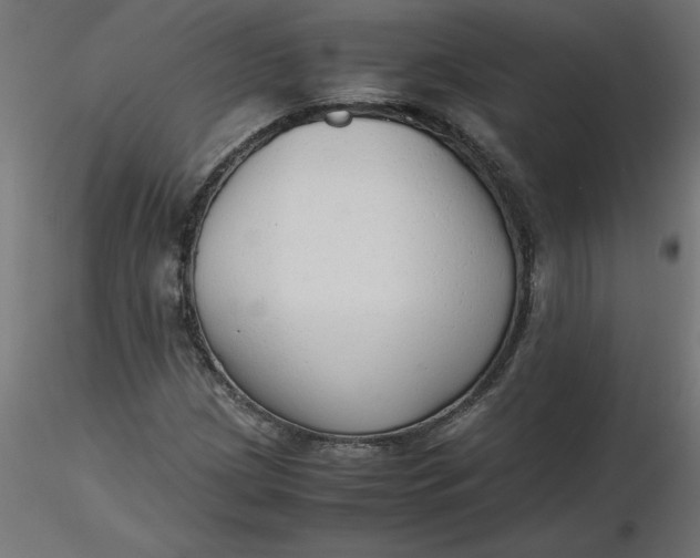 X0000116641209200912291548