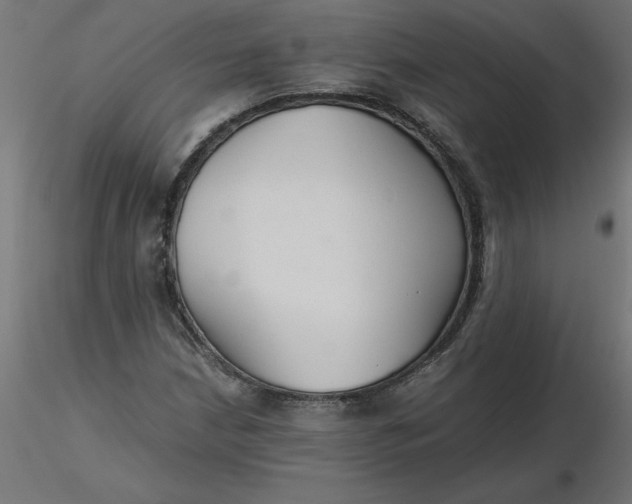 X0000116641210200912291548