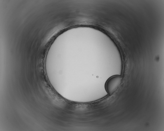 X0000116641211200912291548