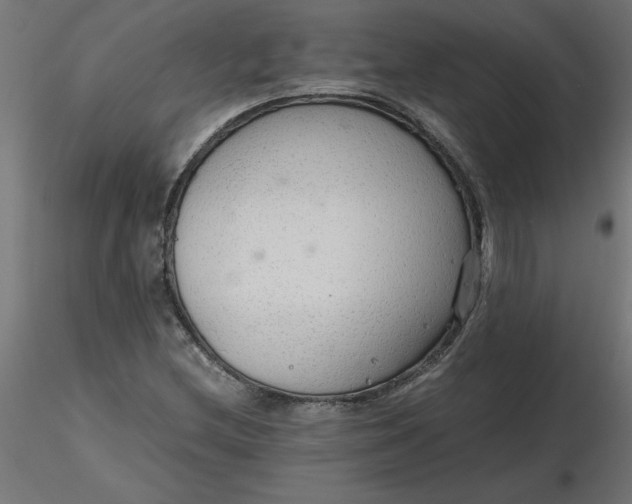 X0000116641212200912291548