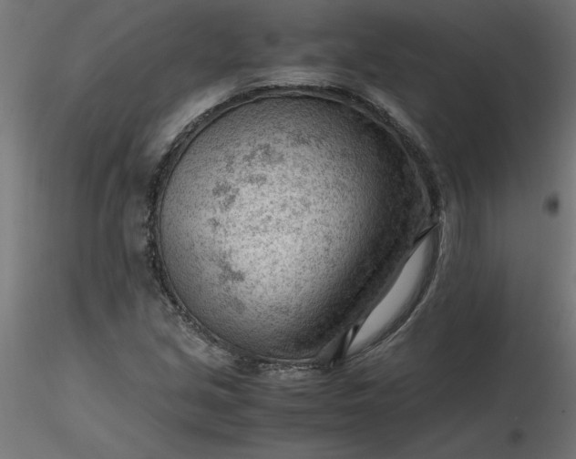 X0000116641213200912291548