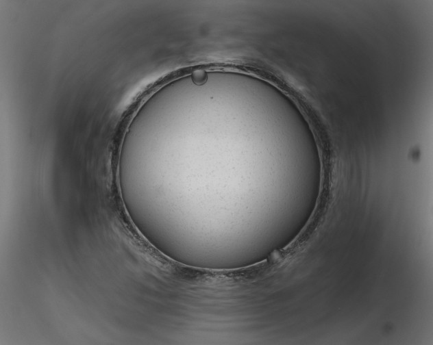 X0000116641214200912291548