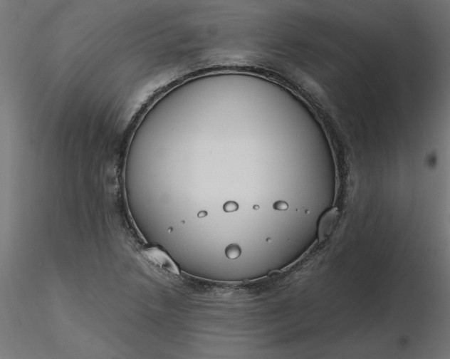 X0000116641218200912291548