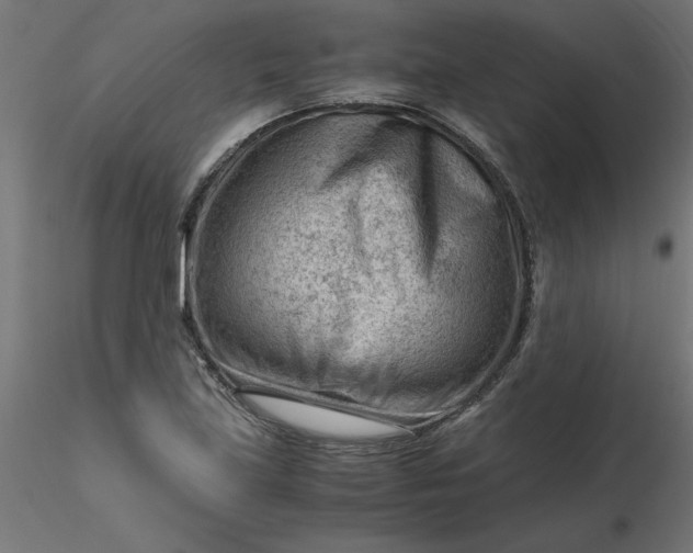 X0000116641219200912291548