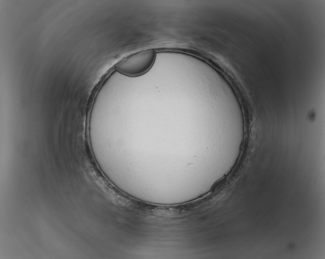 X0000116641220200912291548