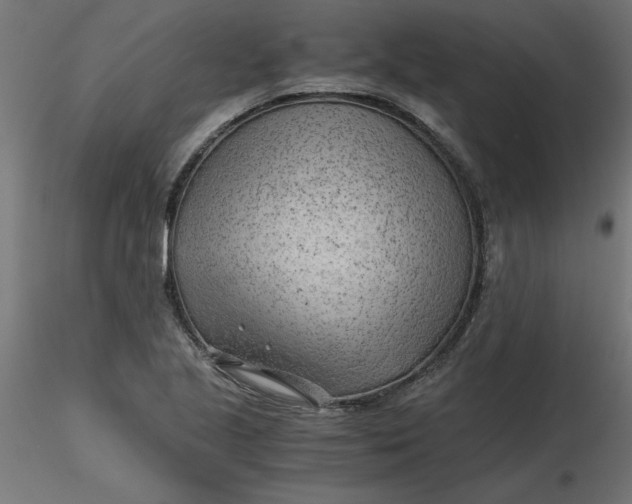 X0000116641221200912291548