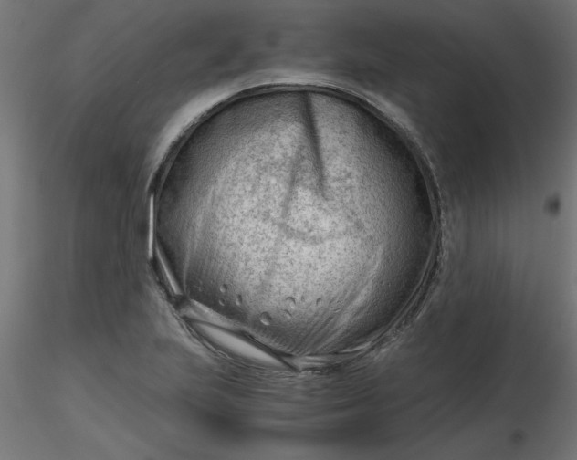 X0000116641223200912291548