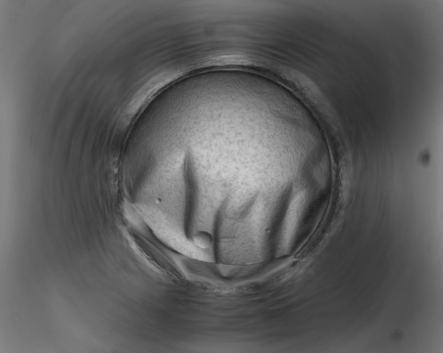 X0000116641225200912291548