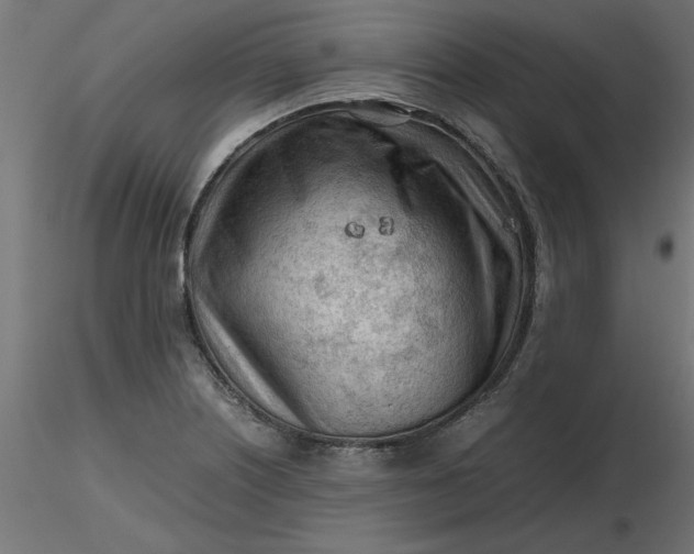 X0000116641226200912291548