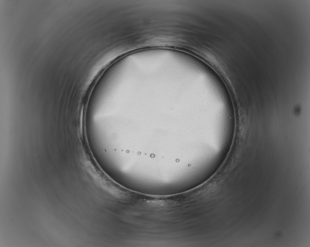 X0000116641227200912291548