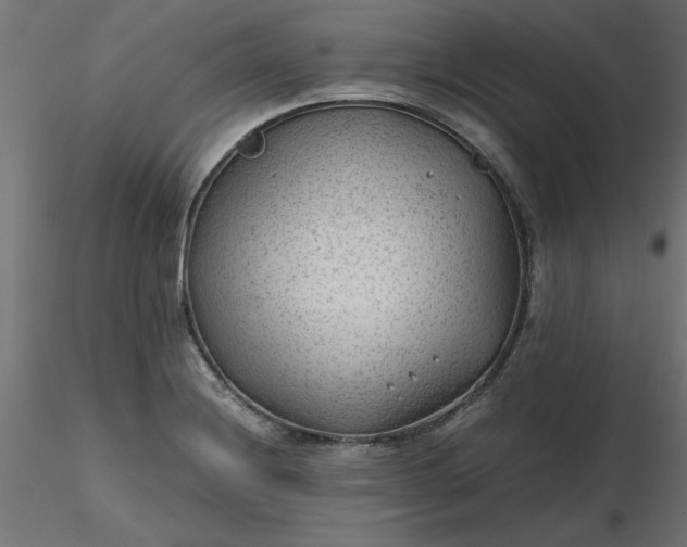 X0000116641228200912291548