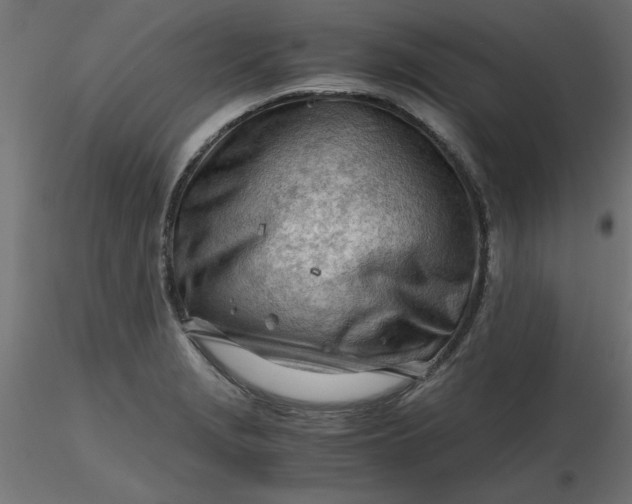 X0000116641229200912291548